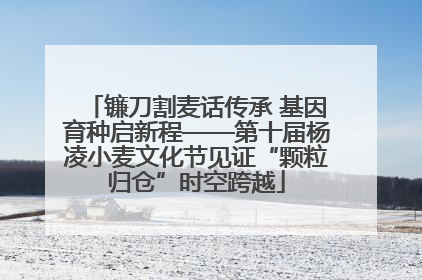 镰刀割麦话传承 基因育种启新程——第十届杨凌小麦文化节见证“颗粒归仓”时空跨越